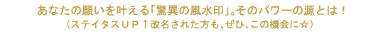 画像の説明
